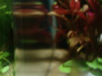 060203_0004.jpg