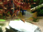060203_ 0001.jpg