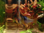 060203_ 0003.jpg