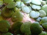 060211_002.jpg
