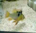 060218_002.jpg