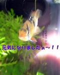 060218_003.jpg