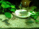 060219_0005.jpg