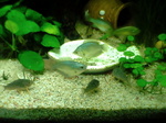 060219_0006.jpg