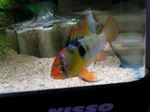 060303_002.jpg