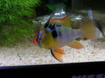 060303_004.jpg