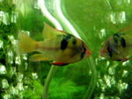060304_003.jpg