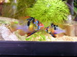 060306_001.jpg