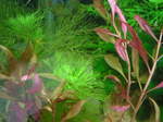 060306_003.jpg