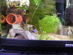 060306_005.jpg