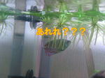 060307_003.jpg