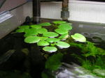 060307_004.jpg