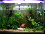 060307_007.jpg