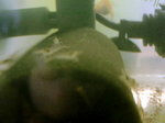 060313_002.jpg