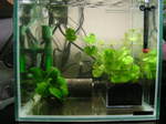 060321_013.jpg