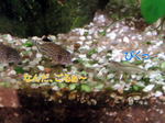 060324_001.jpg