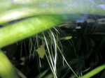 060324_003.jpg