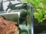 060402_014.jpg