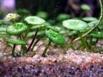 060405_001.jpg