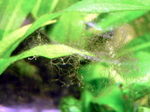 060405_003.jpg