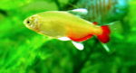 060409_000.JPG