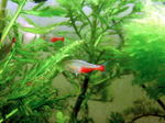 060409_007.jpg