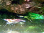 060410_002.jpg
