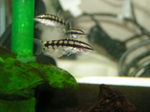 060410_005.jpg