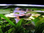 060411_005.jpg