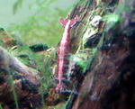 060412_000.JPG