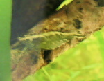 060412_001.JPG