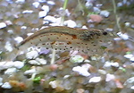 060412_006.JPG