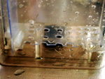 060420_006.jpg
