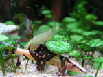 060504_007.jpg