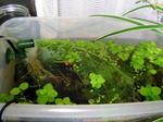 060510_001.jpg
