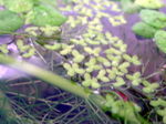 060510_002.jpg