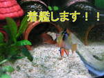 060514_002.jpg