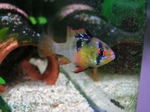 060514_003.jpg