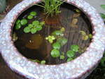 060514_004.jpg