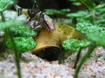 060514_005.jpg