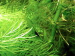060514_006.jpg