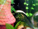 060520_000.JPG