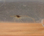 060530_004.JPG