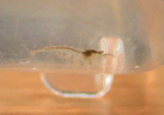 060530_005.JPG