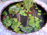 060531_001.jpg