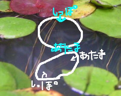 060610_002.JPG