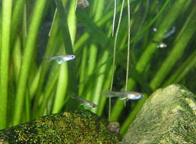 060612_000.JPG