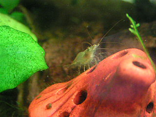 060618_004.jpg