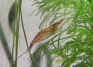 060618_005.JPG