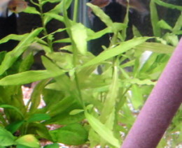 060621_006.jpg